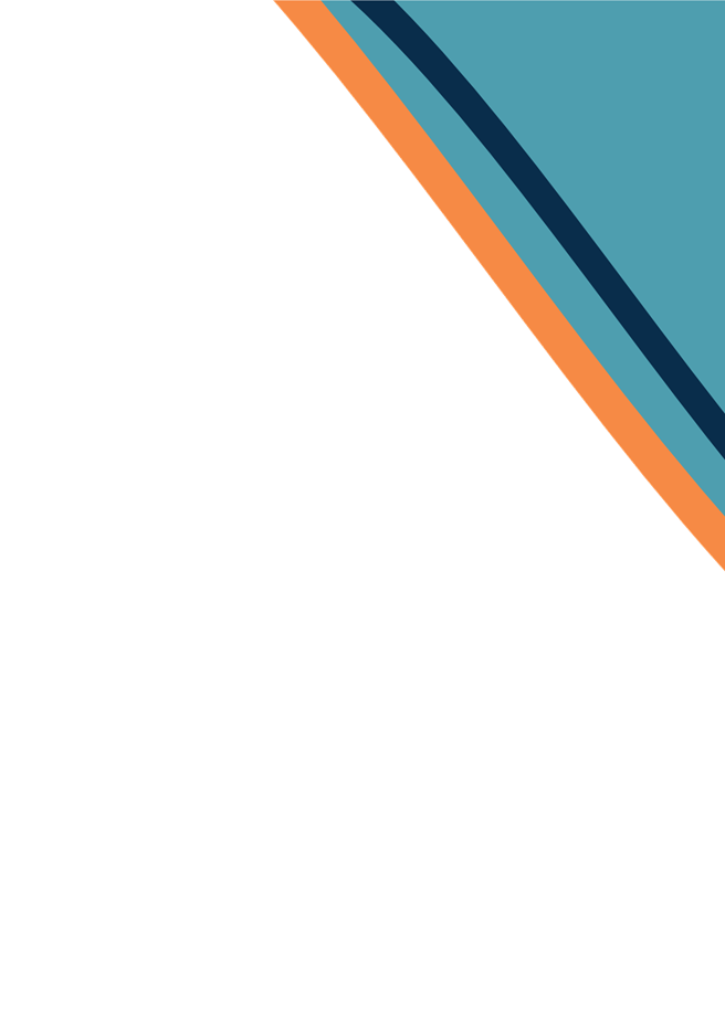 A blue and orange stripes

Description automatically generated